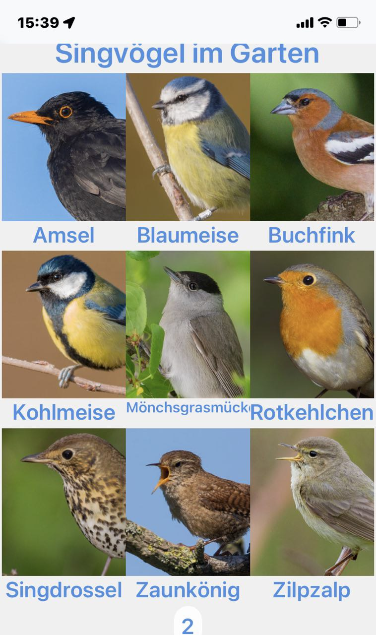 Fertige Singvögel-App mit 9 Vogelbildern im Raster: Amsel, Blaumeise, Buchfink, Kohlmeise, Mönchsgrasmücke, Rotkehlchen, Singdrossel, Zaunkönig, Zilpzalp