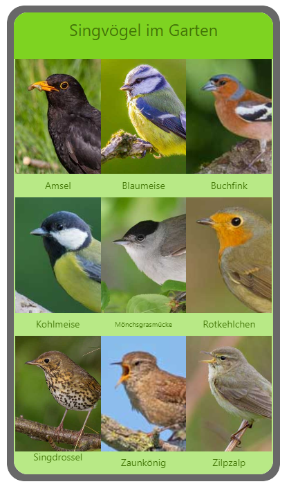 Startseite der Vogelstimmen-App mit 9 Vogelkacheln