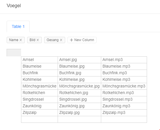 Tabelle Voegel mit 9 Zeilen: Name, Bild (z.B. Amsel.jpg), Gesang (z.B. Amsel.mp3)